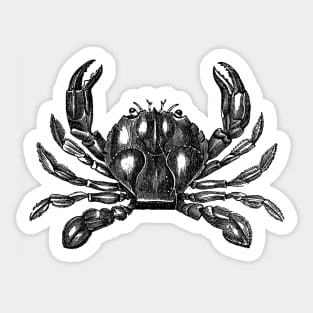 Sea life--Crab Sticker